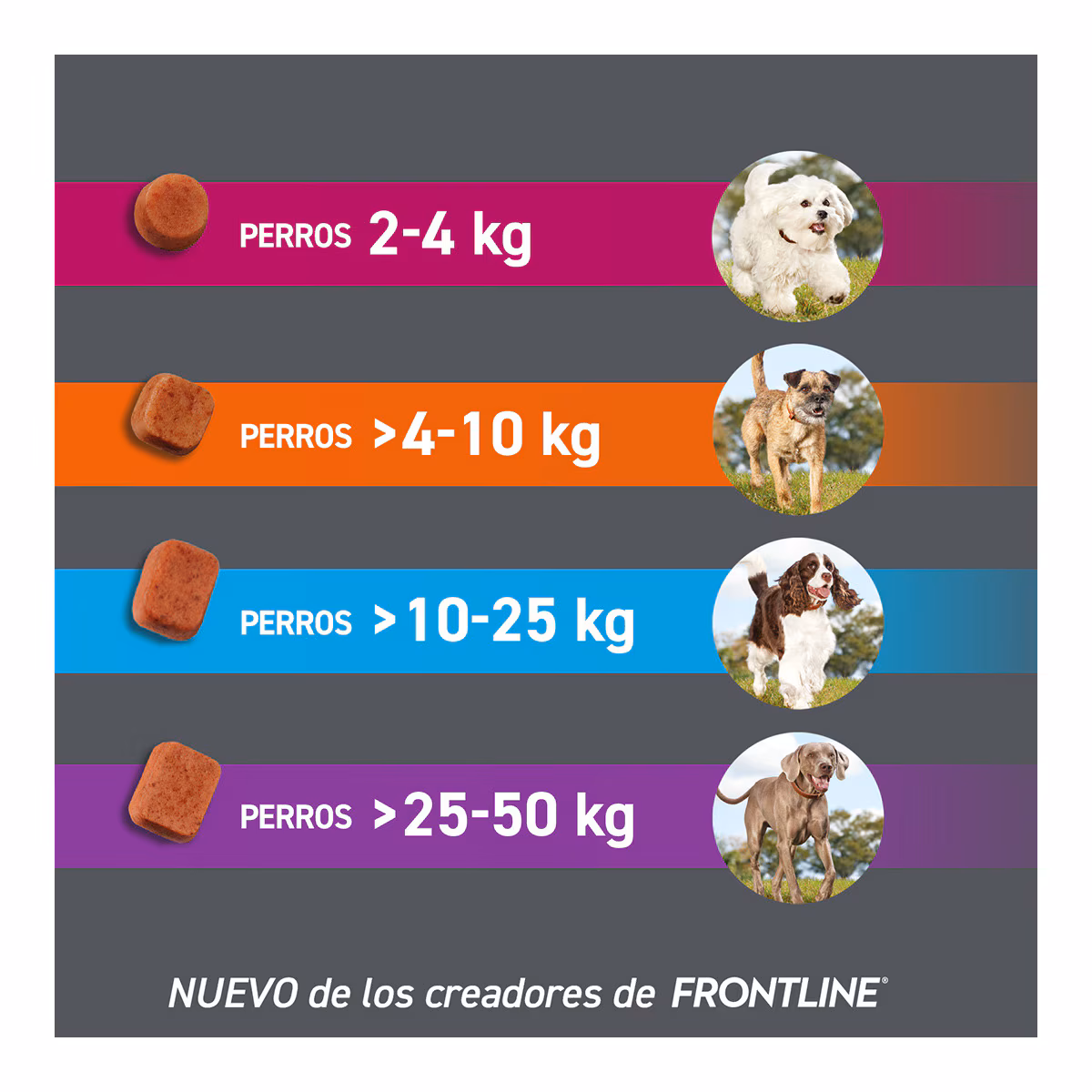 FRONTPRO PERRO COMPRIMIDOS MASTICABLES + CORREA REGALO - Imagen 4