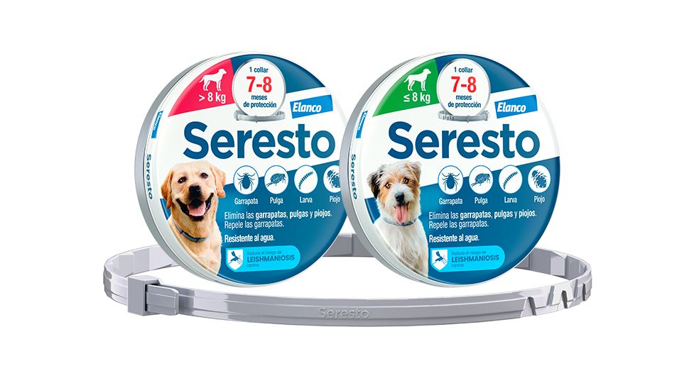 https://perropulgoso.com/categoria-producto/perro/