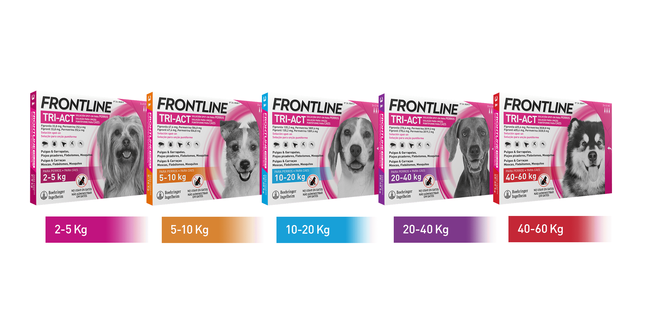 FRONTLINE TRI-ACT 6 PIPETAS ANTIPARASITARIO PERRO + REGALO BEBEDERO VIAJE