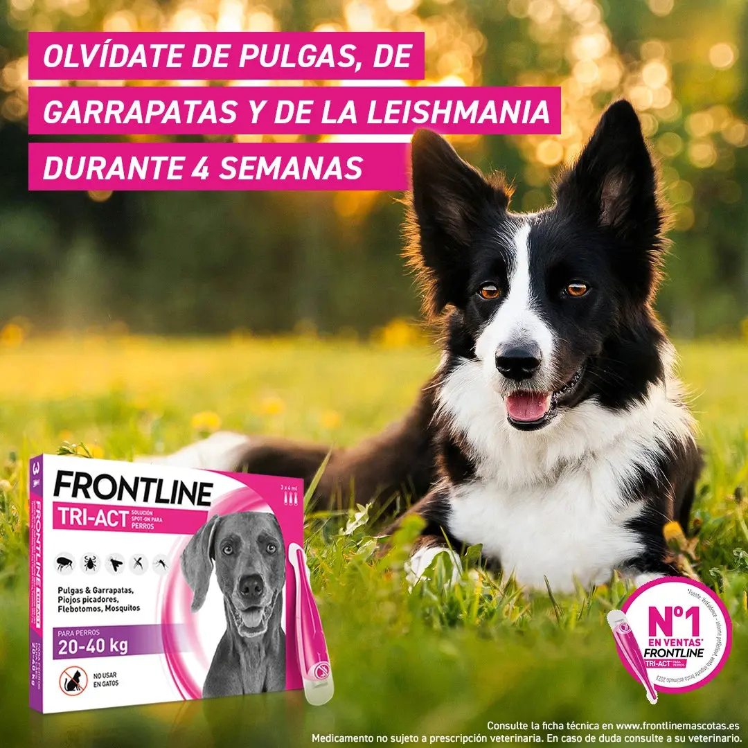 FRONTLINE TRI-ACT 6 PIPETAS ANTIPARASITARIO PERRO + REGALO BEBEDERO VIAJE - Imagen 4