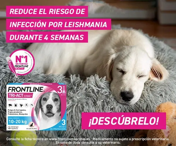 FRONTLINE TRI-ACT 6 PIPETAS ANTIPARASITARIO PERRO + REGALO BEBEDERO VIAJE - Imagen 3