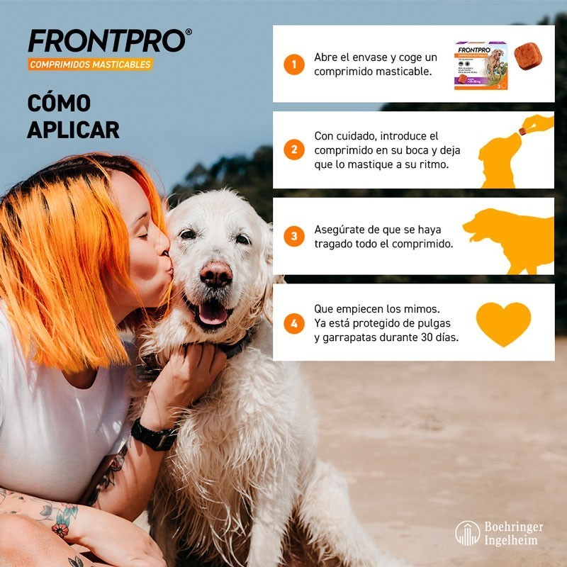 FRONTPRO PERRO COMPRIMIDOS MASTICABLES + CORREA REGALO - Imagen 3
