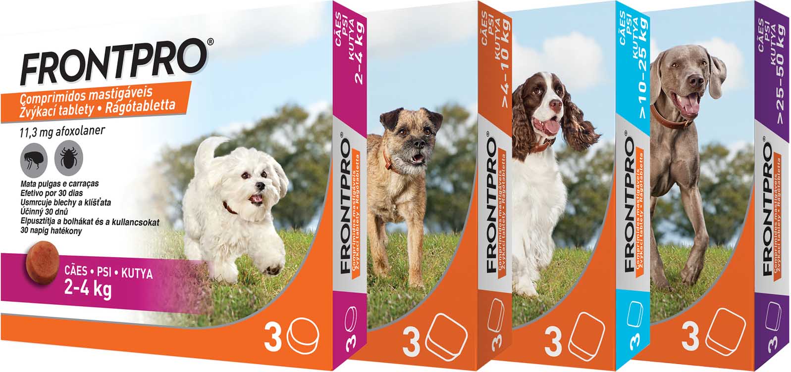 FRONTPRO PERRO COMPRIMIDOS MASTICABLES + CORREA REGALO