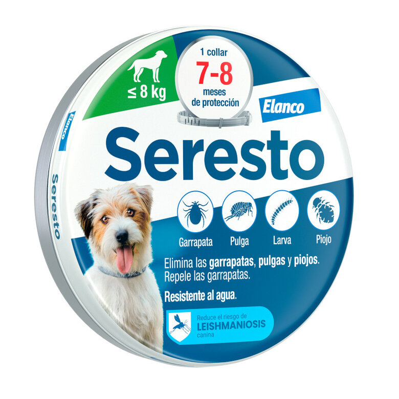 https://perropulgoso.com/categoria-producto/perro/